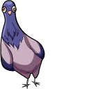 Funny Pigeon