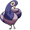 Funny Pigeon