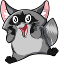Funny Raccoon