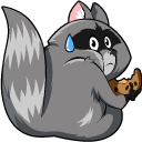 Funny Raccoon