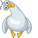 Funny Seagull