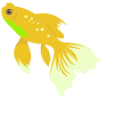 Goldfish