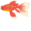 Goldfish