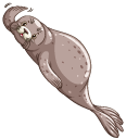 Gray Fur Seal