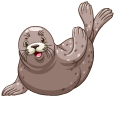 Gray Fur Seal