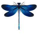 Green and Blue Dragonflies