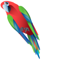 Green-Winged Macaw