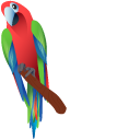 Green-Winged Macaw