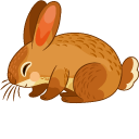 Hare