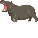 Hippopotamus