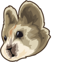 Ili Pika
