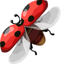 Ladybug