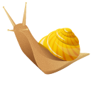 Land Snails