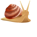 Land Snails