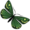 Malachite Green Butterflies