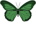 Malachite Green Butterflies