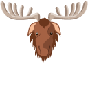 Moose