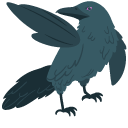 Northern Raven