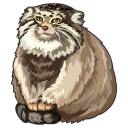 Pallas's Cat aka Manul