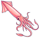 Pink Squid