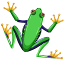 Red-Eyed Tree Frog