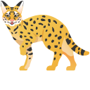Serval
