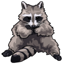 Silly Raccoons