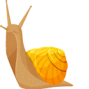Snail
