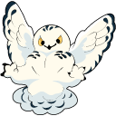 Snowy Owl