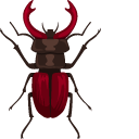 Stag Beetle