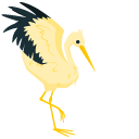 Stork