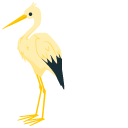 Stork