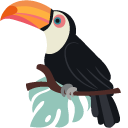 Toucans