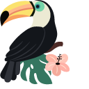 Toucans