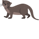 Weasel