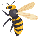 Yellowjacket Wasp