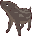 Fruits Basket Kagura Sohma