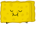 Battle For Dream Island Spongy