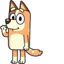Bluey Chilli Heeler