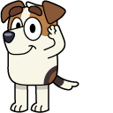 Bluey Jack Russel and Army Hat