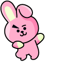 BTS BT21 Cooky