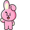 BTS BT21 Cooky