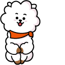 BTS BT21 RJ