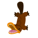 Camp Camp Platypus