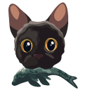 Flow the Black Cat
