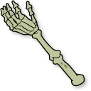 Centaurworld Gary Skeleton