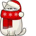 Christmas Cat and Costume