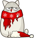 Christmas Cat and Costume