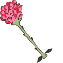 Little Prince and Rose