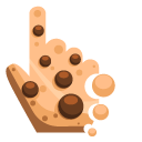Chocolate Chip Cookie